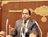 برلمانى: بيان 3 يوليو فتح الطريق أمام مرحلة جديدة من إعادة بناء الدولة 