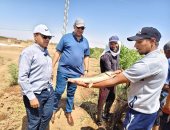 كيلو السمك بـ30 جنيه بس.. قرية البشندى بالوادى الجديد تحصد الدفعة الثانية من مزرعة الأسماك الحكومية.. طرح المنتجات للمواطنين بأسعار مخفضة.. ورئيس المركز: خطة لتعميم التجربة فى القرى لتحقيق الأمن الغذائى.. صور
