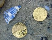 اكتشاف حطام سفينة عمرها 300 عام نهبها القراصنة قبالة سواحل مدغشقر