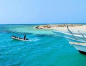 "جزيرة أم الشيخ" أهم مواطن الكائنات البحرية النادرة بالبحر الأحمر.. طبيعتها الساحرة جعلتها محمية مفتوحة.. يقصدها سياح العالم المهتمين بالنشاط البحرى.. ويستمتع من يغوص بالقرب منها لمشاهدة جمال الشعاب حولها.. صور