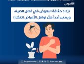كيف يمكن الوقاية من لدغات البعوض؟ وزارة الصحة توضح