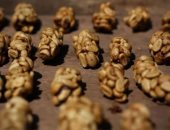 قهوة الزباد.. رحلة أغلى فنجان فى العالم من بطن حيوان إلى مائدة الأثرياء