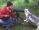 انتظار اللحظة المثالية.. 10 صور من الحياة البرية للمصورين المحترفين