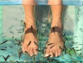 6 علاجات تجميل خطيرة ومثيرة للاشمئزاز.. حمام ثعابين البحر الأبرز