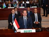 الرئيس السيسى: أفريقيا التي نريدها ليست حلما وإنما واقع قريب المنال رغم كثرة التحديات