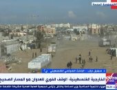 باحث فلسطينى: إسرائيل تخطط لموت باقى سكان غزة أو تهجيرهم