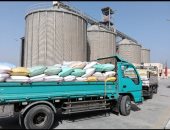 موسم 2025.. الشرقية الأولى على مستوى الجمهورية فى توريد القمح المحلى.. توريد أكثر من 601 ألف طن والتوريد مازال مستمرا بالصوامع.. والمحافظ: الاستعدادات المبكرة وراء نجاح منظومة التوريد.. صور