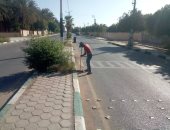 تجميل وتطوير مدينة الخارجة للقضاء على التلوث