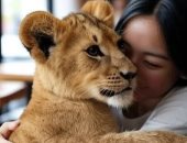 رحلة حول العالم فى أغرب 8 فنادق.. سياحة بمذاق الجنون لعشاق الغرابة والتميز.. من حضن الأسود لنينجا الروبوتات تجارب الضيافة الأغرب حول العالم.. وعشاء مع الغوريلا ونوم فى قفص طيور الوجه الآخر لرحلات السفر العالمية