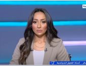 أستاذ علوم سياسية: تحركات مصر الدبلوماسية تعكس التزامها بحل النزاعات