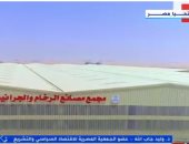 وليد جاب الله: الاستقرار المالي ركيزة أساسية لتحمل الاقتصاد المصري الأزمات