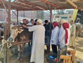 علاج 962 حيوانا و3150 طائرا خلال قافلة بيطرية بقرية محلة منوف بطنطا