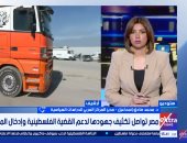 محمد صادق إسماعيل: ثبات الموقف المصري تجاه فلسطين يعكس التزامًا استراتيجيًا