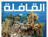 مجلة القافلة فى عددها الجديد: من اقتصاد الانتباه إلى الخاتم
