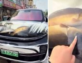 سائق صينى يثير جدلا بغطاء محرك سيارة شفاف مليء بالأسماك والقشريات الحية.. فيديو