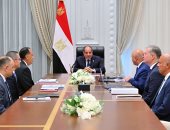 الرئيس السيسى يؤكد أهمية مشروعات البتروكيماويات والصناعات التعدينية