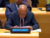 أبو الغيط: جهود إقليمية ودولية لمساعدة لبنان على تجاوز أزمته