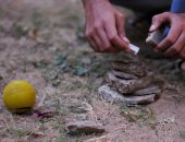 8 ألعاب تربى عليها أطفال الثمانينات والتسعينات فى مصر.. ميعرفهاش جيل Z