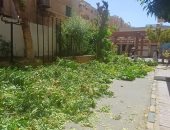 محافظ أسوان يوقع غرامة على أحد الفنادق بعد التعدى على الأشجار