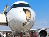 طائر يصطدم بمقدمة طائرة إيرباص ويرغمها على الهبوط فى إسبانيا.. صور