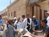 "بيطرى سوهاج” تواصل إطلاق قوافلها الطبية البيطرية وتعالج 1355 حيوانا بقرية النغاميش
