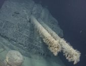 الكشف عن حطام 13 سفينة مفقودة خلال الحرب العالمية الثانية