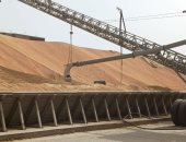 زيادة 83% فى توريد القمح المحلى بأسوان عن الموسم الماضى