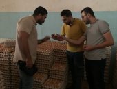 ضبط 300 ألف بيضة بها دود حى وحشرات فى حملات لهيئة سلامة الغذاء بالغربية