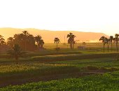 "خير البيت بيكفى".. سحر الريف وبساطته أساس السلام النفسى.. صور