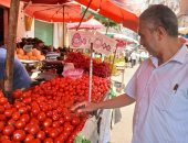 ضبط مخالفات بالتصرف فى 30 ألف لتر بنزين وسولار فى حملات موسعة بالإسكندرية