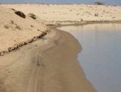 شرايين مائية تحيى الصحراء.. شمال سيناء أرض الفرص الواعدة بين الزراعة وموارد الطبيعة