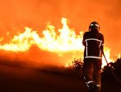 العالم يشتعل.. حرائق الغابات تسجل أرقاماً قياسية وتحوّل الغابات إلى مصادر للكربون