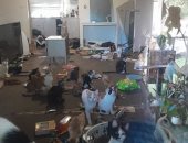 حي هادئ يتحول إلى "ساحة حرب" بسبب سيدة تعيش مع 50 قطة في منزل واحد.. صور