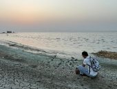 من بحيرة قارون.. انطلاق ملتقى الفيوم للرسوم المتحركة