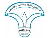 حقوقى: 172 دولة تنتخب مصر على مقعد حقوق الإنسان بالأمم المتحدة دليل على ريادتها