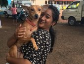 اليوم العالمى للحيوانات المشردة.. فوائد تبنى حيوان أبرزها تخفيف التوتر