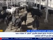 الزراعة: مشروع البتلو يوفر مصادر دخل للشباب والمرأة المعيلة وصغار المربين