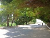 رغم انكسار الموجة.. أجواء شديدة الحرارة فى قنا والعظمى 43 درجة.. فيديو