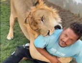 ليبي يطلق أسداً على عامل مصري والسلطات الأمنية تحقق.. فيديو