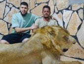 النائب العام الليبى يقرر حبس صاحب مزرعة أطلق أسده على عامل مصرى