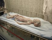 الحمض النووي لمومياوات "الكائنات الفضائية" يثير تساؤلات جديدة.. ما القصة؟