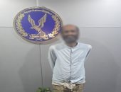 كشف ملابسات فيديو يظهر تعدى شخص على قطة بعصا خشبية فى الإسكندرية      