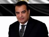 برلمانى: التنسيق المصرى-السعودى فى نيوم يعكس التزام البلدين بالقضايا الإقليمية