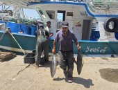 رحلة تستغرق 8 أيام.. موسم صيد التونة أهم مواسم الصياد بدمياط.. فيديو