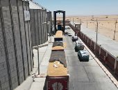 توريد 568 ألف طن قمح للصوامع.. ختام حصاد وتوريد القمح فى الوادى الجديد