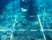 كنز روما المفقود".. مدينة عيناريا الغارقة تظهر من أعماق البحر بعد 2000 عام