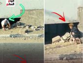 كواليس ضبط عصابة الثقب الأسود لاستغلال الأطفال فى التسول بالهرم.. فيديو
