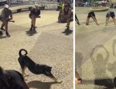 كلب يتسبب فى حالة من الضحك بين عدائين برازيليين لتقليده حركاتهم.. فيديو