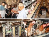 الهدف تحقيق الاكتفاء الذاتى من السلع الأساسية.. إعادة تشغيل مشروع إنتاج الـ30 مليون بيضة بالخانكة.. محافظ القليوبية: المشروع يضم عنابر التربية والإنتاج ويعمل بكامل طاقته فى مارس 2026 ومنافذ بيع مباشرة للمواطنين