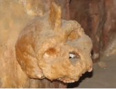 جمجمة غامضة عمرها 300 ألف عام لا تنتمى للبشر ولا إنسان نياندرتال..ما قصتها؟